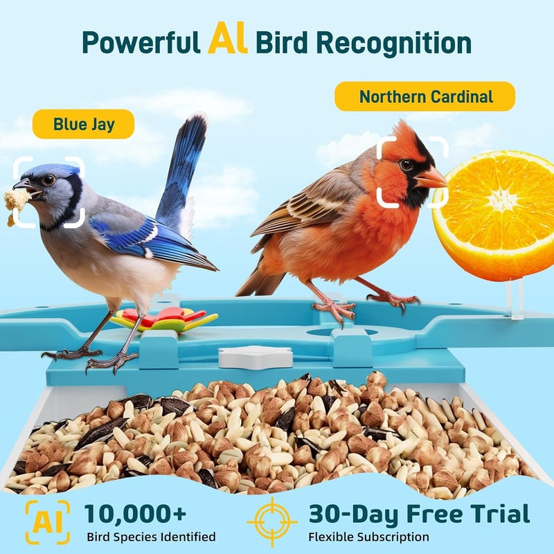 INKCKU Smart Bird Feeder with Camera, Solar Powered WiFi WildBird Watching Camera with AI Bird Recognition, 2K Auto Capture, Vicohome App Alerts, Outdoor Garden Decor Gift for Dad Mom BirdLovers (Blue) - Image 2